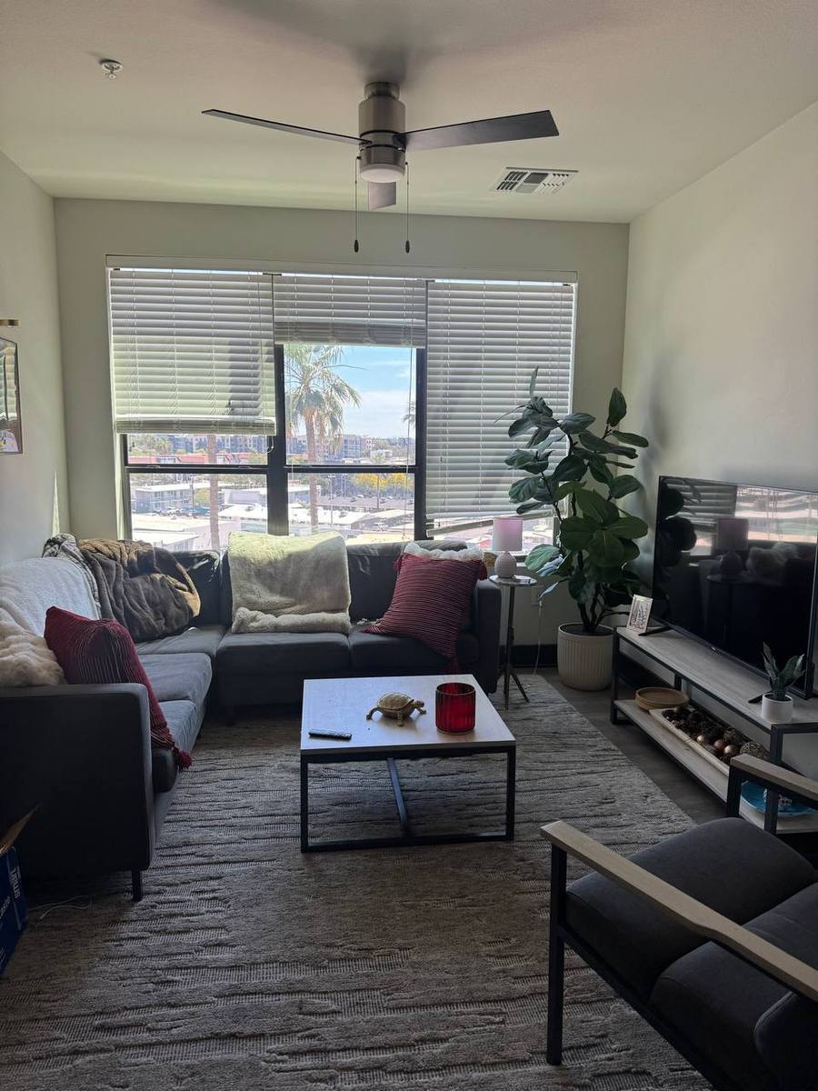 Open concept living room and kitchen